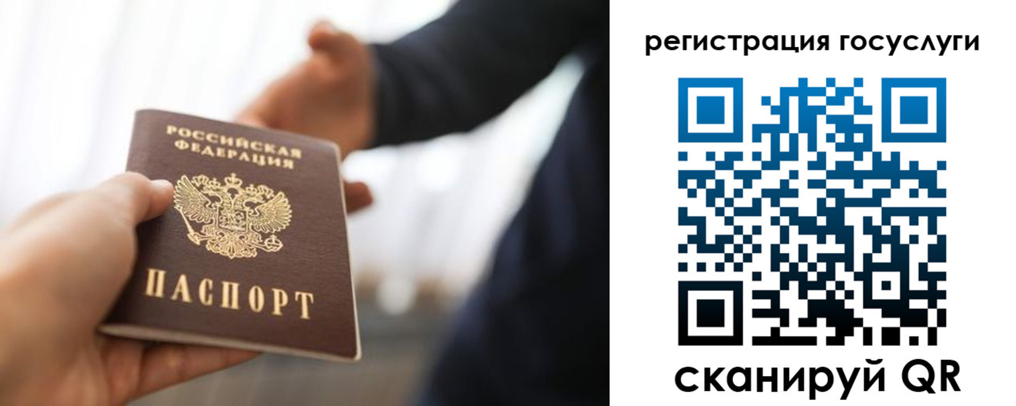 временная регистрация поиск в Николаевске-на-Амуре